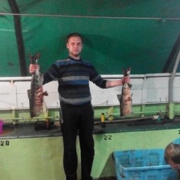 Парень ищет девушку для встречи и не только в Костроме